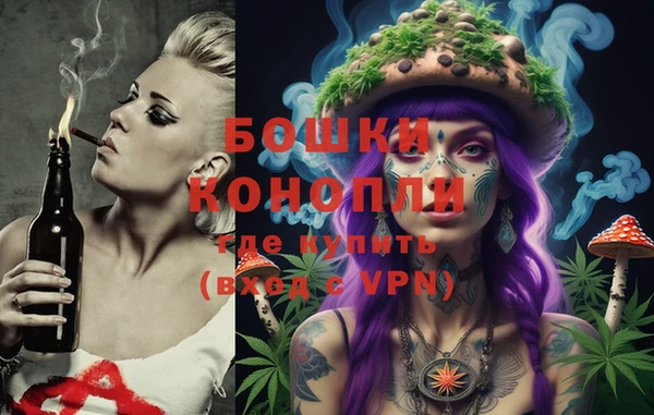 хмурый Богородск