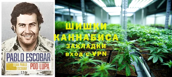 хмурый Богородск