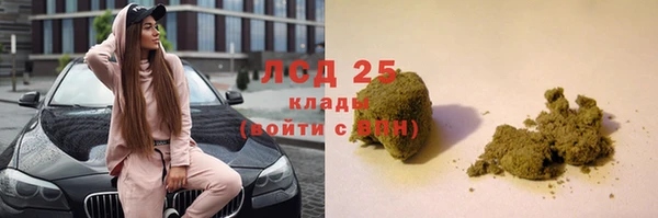 метадон Богданович