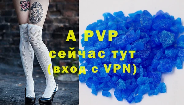 метадон Богданович