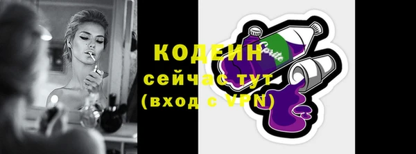 хмурый Богородск