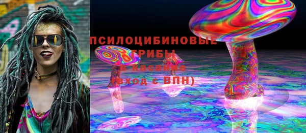 MDMA Богородицк