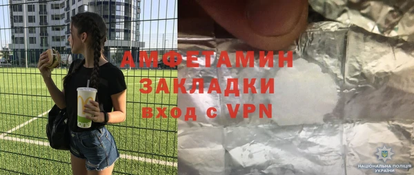 метадон Богданович