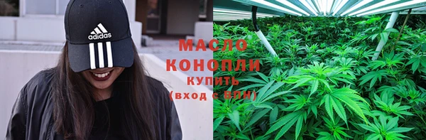 метадон Богданович