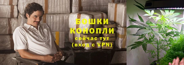 метадон Богданович